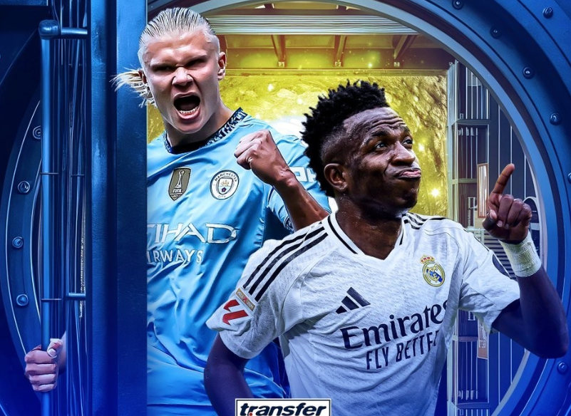 支持基层体 支持基层体