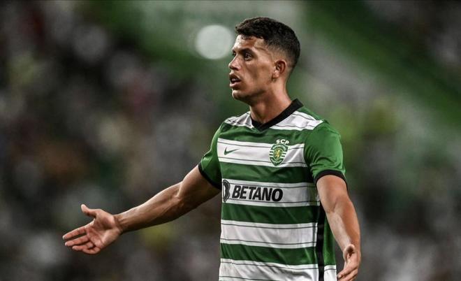 为了球迷眼 为了球迷眼