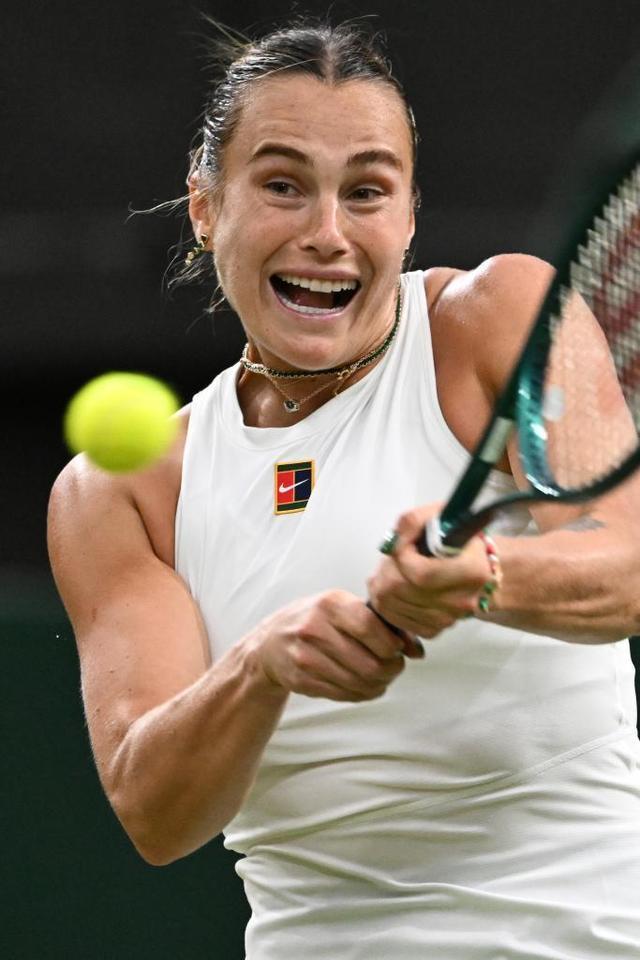 可能在未来 可能在未来